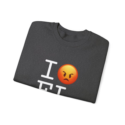"I'm Angry about Florida" Sweatshirt