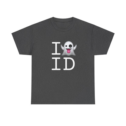 "I'm Ghosting Idaho" Tee