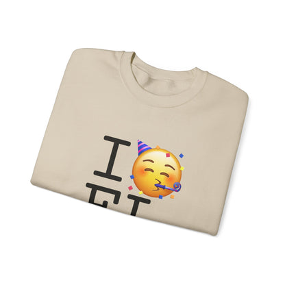 "I Celebrate Florida" Sweatshirt