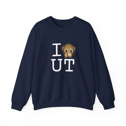 "I Don't Speak about Utah" Sweatshirt