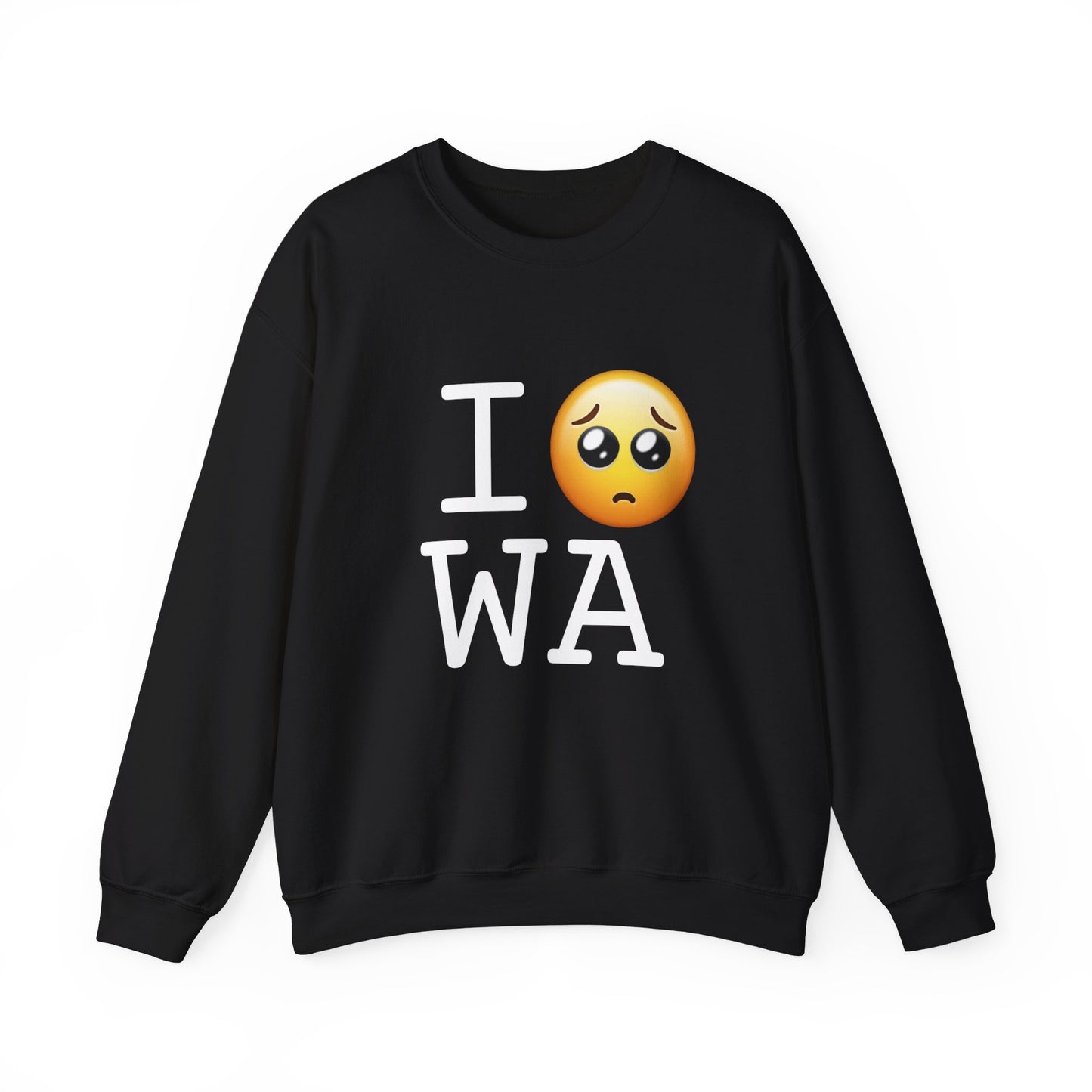 "I'm Begging about Washington" Sweatshirt