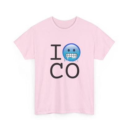 "I'm Cold in Colorado" Tee