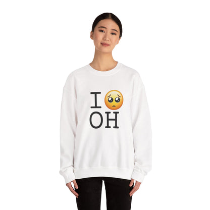 "I'm Begging about Ohio" Sweatshirt