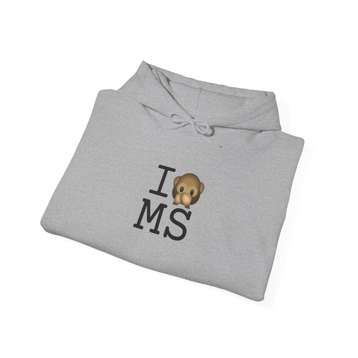 "I Don't Speak about Mississippi" Hoodie