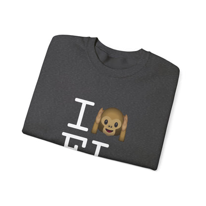 "I Don't Hear Florida" Sweatshirt