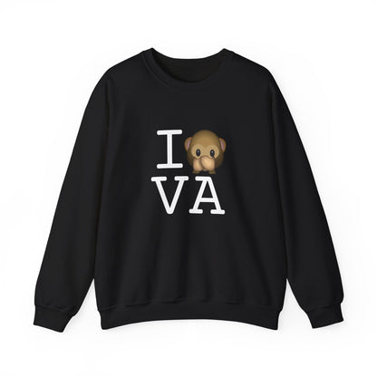 "I Don't Speak about Virginia" Sweatshirt