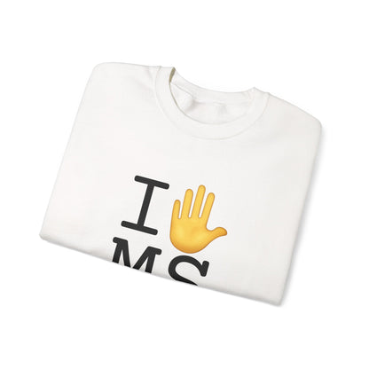 "I Stop (Raised Hand) Mississippi" Sweatshirt