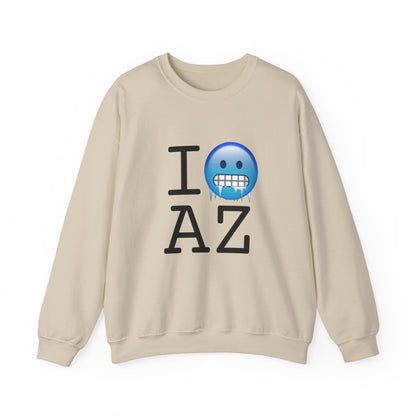 "I'm Cold in Arizona" Sweatshirt