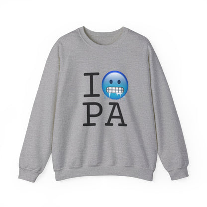 "I'm Cold in Pennsylvania" Sweatshirt