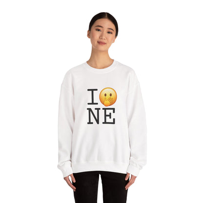 "I Messed Up (Oops) in Nebraska" Sweatshirt