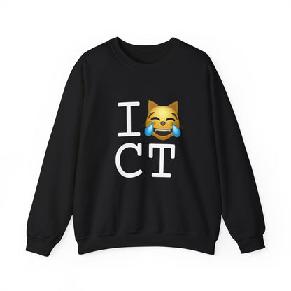 "I'm Laughing like a Cat at Connecticut" Sweatshirt