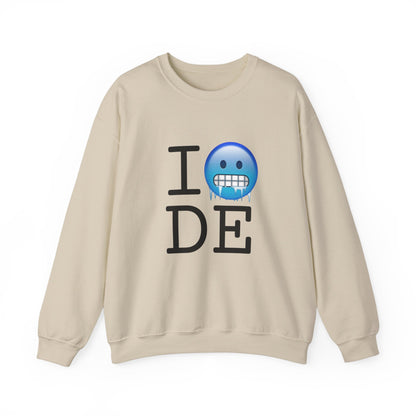 "I'm Cold in Delaware" Sweatshirt