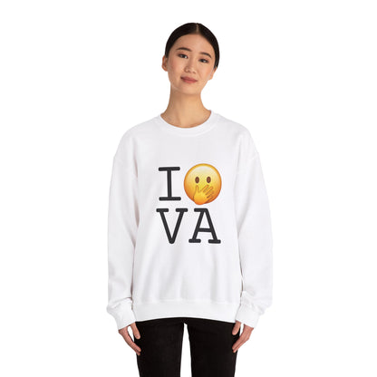 "I Messed Up (Oops) in Virginia" Sweatshirt