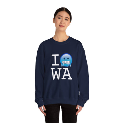 "I'm Cold in Washington" Sweatshirt