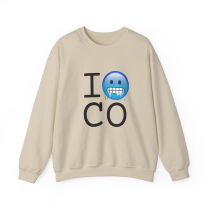 "I'm Cold in Colorado" Sweatshirt