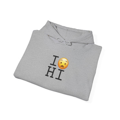 "I'm Anguished about Hawaii" Hoodie