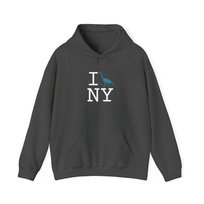 "I'm a Dinosaur in New York" Hoodie