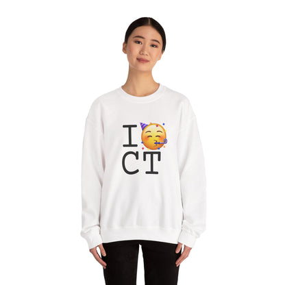 "I Celebrate Connecticut" Sweatshirt