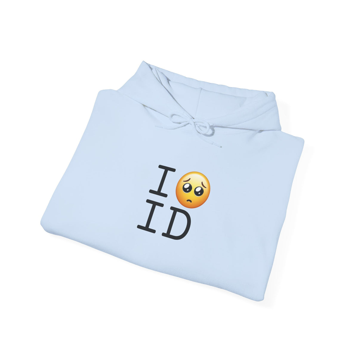 "I'm Begging about Idaho" Hoodie