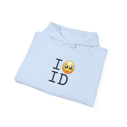 "I'm Begging about Idaho" Hoodie