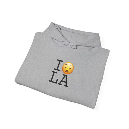 "I'm Anguished about Louisiana" Hoodie