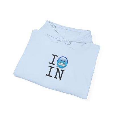 "I'm Cold in Indiana" Hoodie