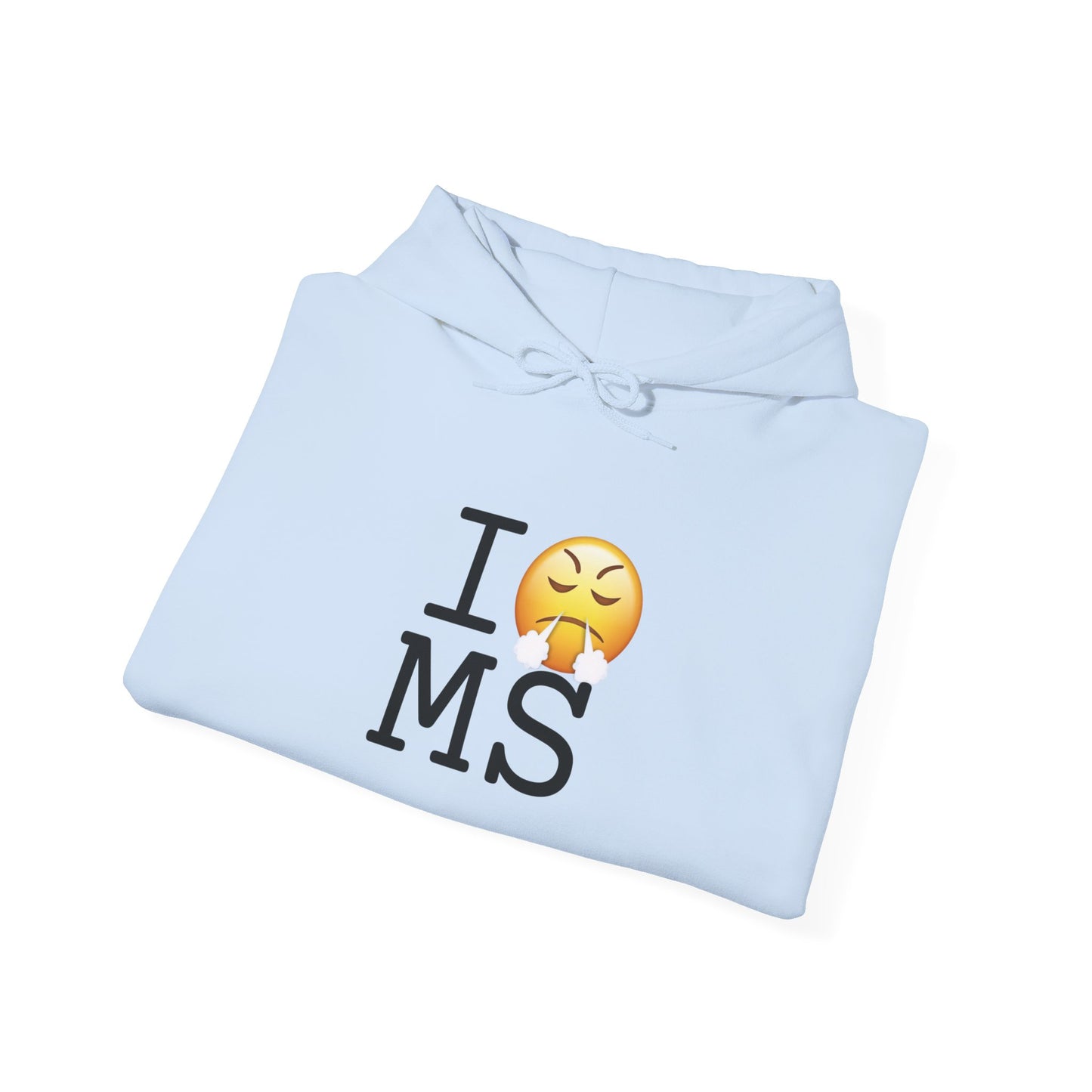 "I'm Furious about Mississippi" Hoodie