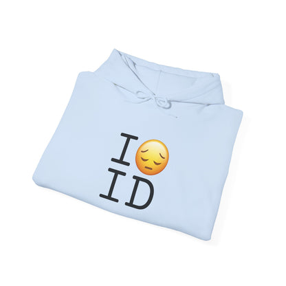 "I'm Depressed about Idaho" Hoodie