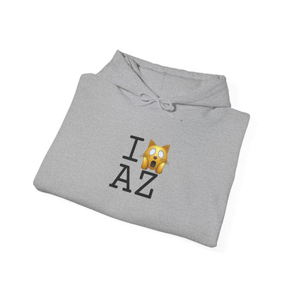 "I'm a Scaredy Cat about Arizona" Hoodie