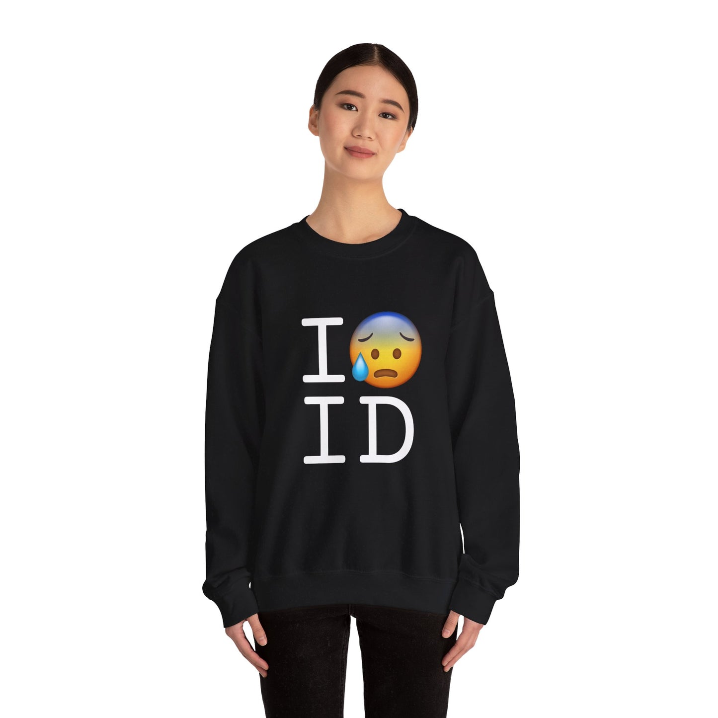 "I'm Anxiously Sweating in Idaho" Sweatshirt