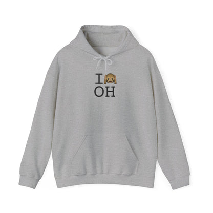 "I Don't Hear Ohio" Hoodie