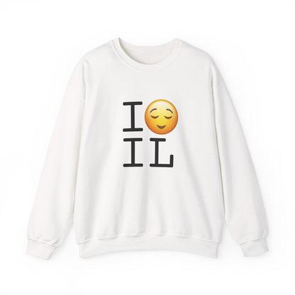 "I'm Relieved about Illinois" Sweatshirt