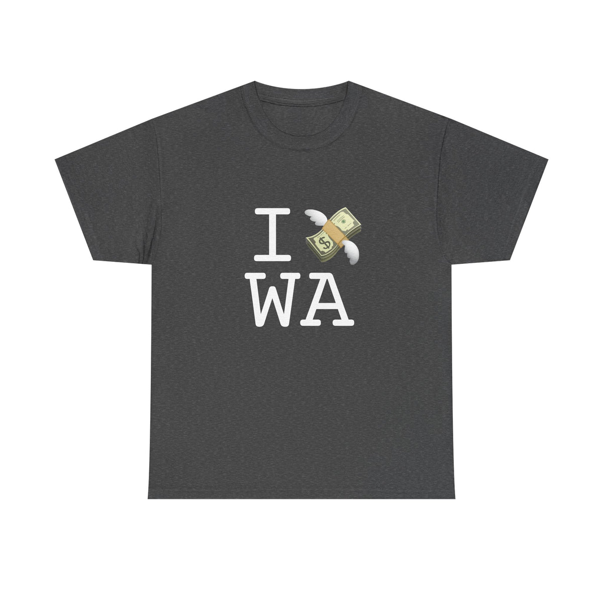 "I Lose Money in Washington" Tee