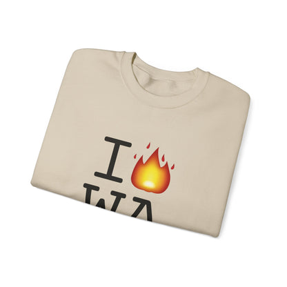 "I've got Fire for Washington" Sweatshirt