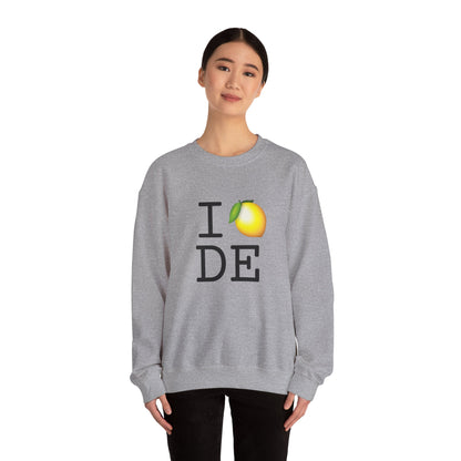 "I Lemon Delaware" Sweatshirt