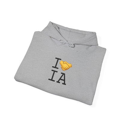 "I Have an Arrangement with Iowa" Hoodie