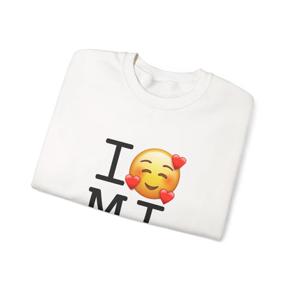 "I Adore Michigan" Sweatshirt