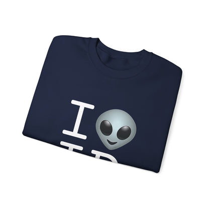 "I Feel Alien in Idaho" Sweatshirt