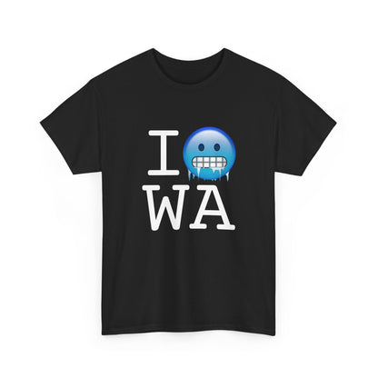 "I'm Cold in Washington" Tee
