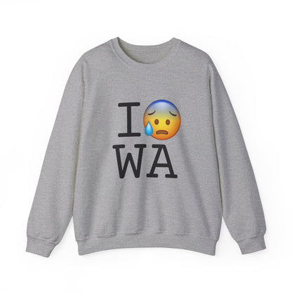 "I'm Anxiously Sweating in Washington" Sweatshirt