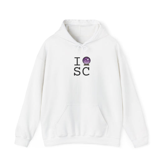 "I Predict the Future (Crystal Ball) of South Carolina" Hoodie