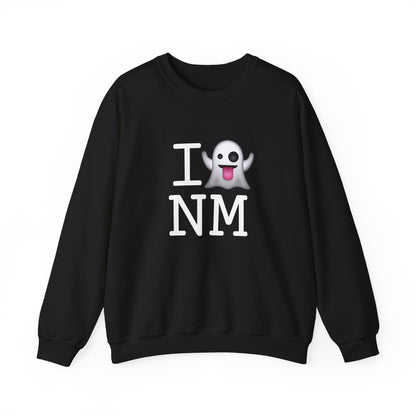 "I'm Ghosting New Mexico" Sweatshirt