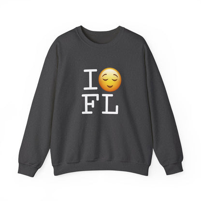 "I'm Relieved about Florida" Sweatshirt