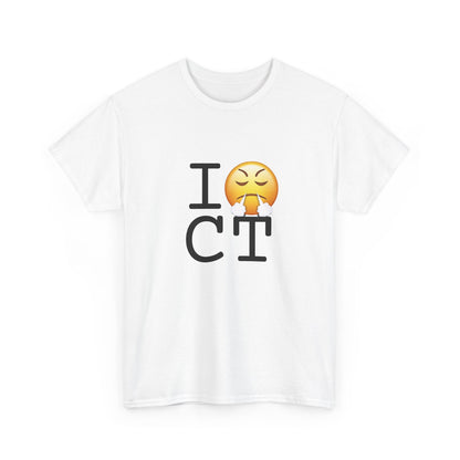 "I'm Furious about Connecticut" Tee