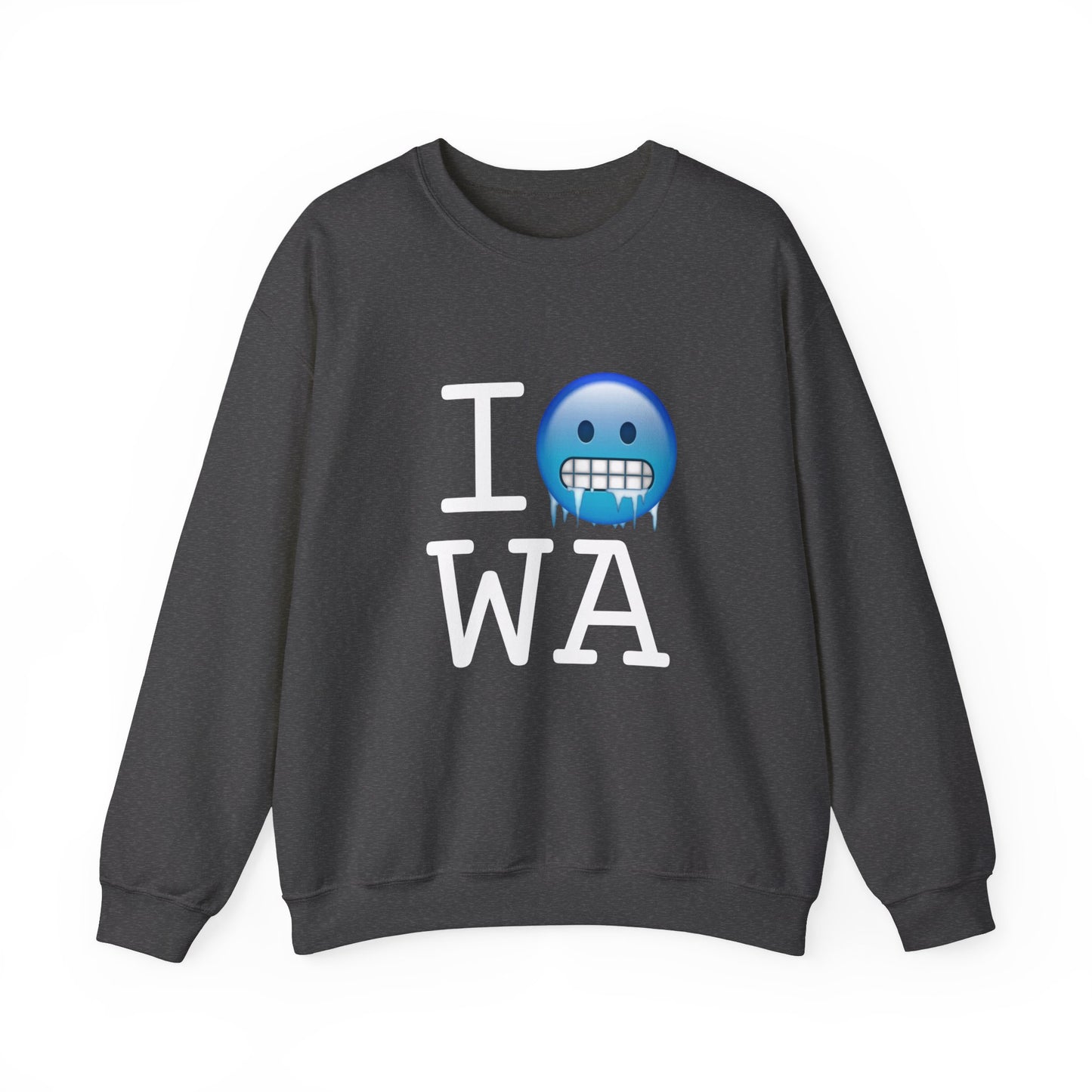 "I'm Cold in Washington" Sweatshirt
