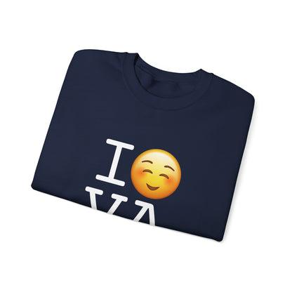 "I Blush at Virginia" Sweatshirt