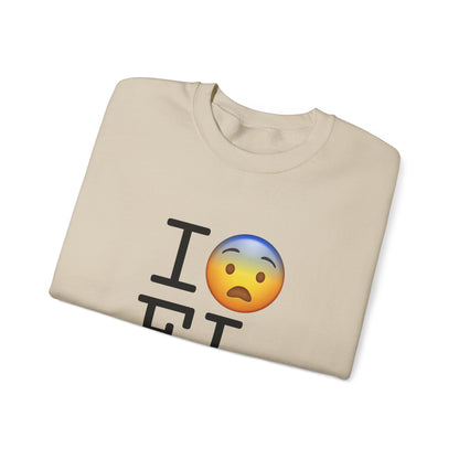 "I Fear Florida" Sweatshirt