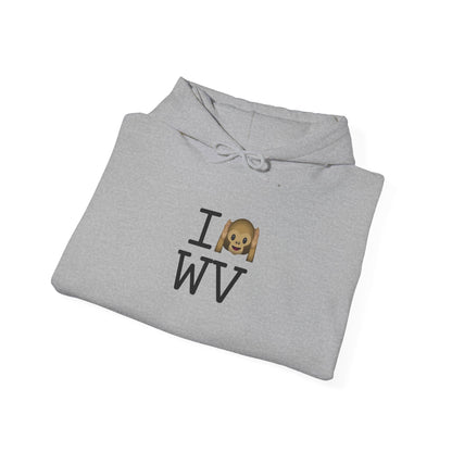 "I Don't Hear West Virginia" Hoodie