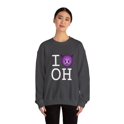 "I'm an Angry Devil about Ohio" Sweatshirt