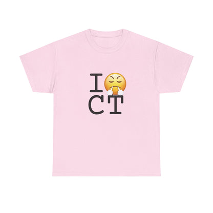 "I'm Furious about Connecticut" Tee